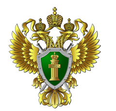  Новые виды мошенничества в России. Схемы с инвестициями и «гарантированной прибылью»