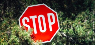 Внимание! В Брянской области продлено ограничение на посещение лесов